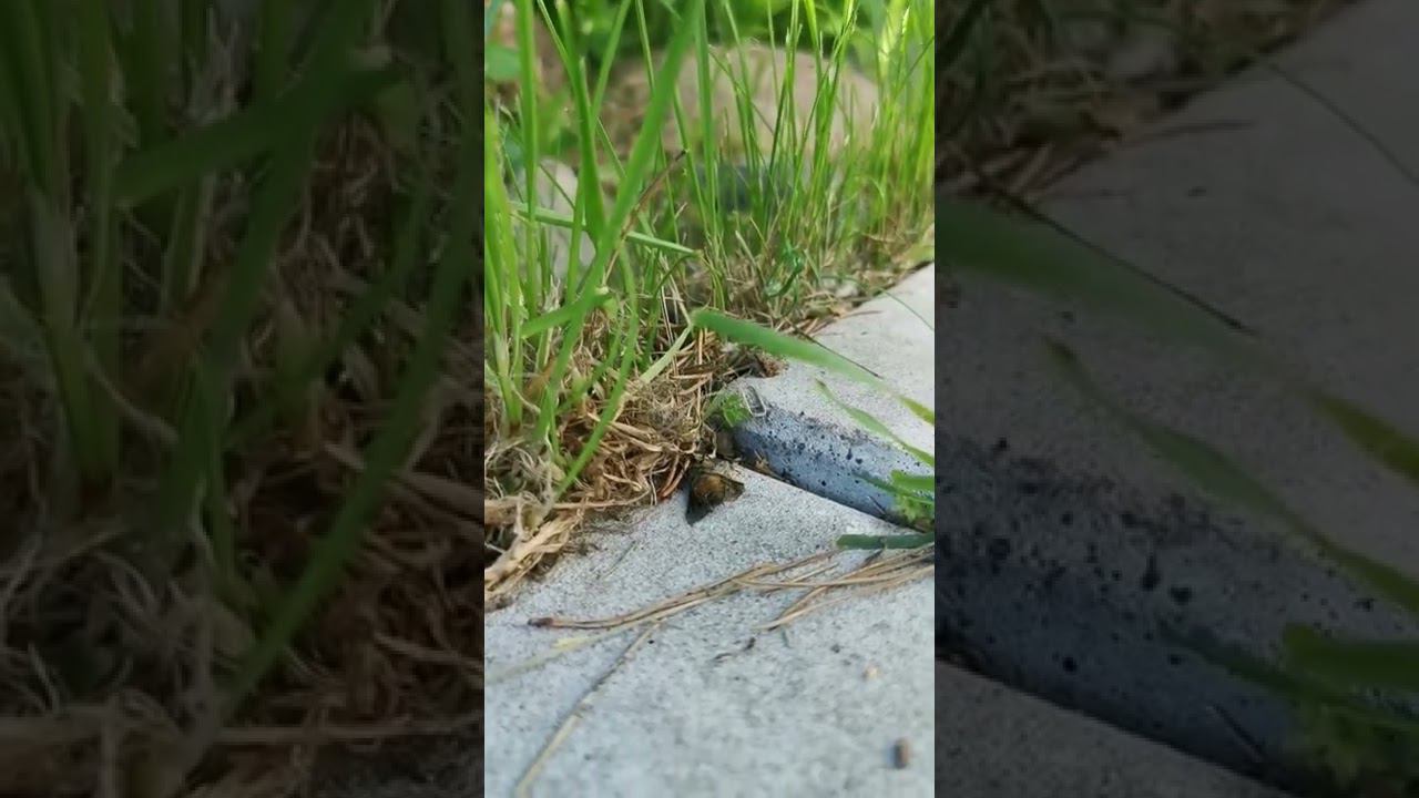 батл смотреть онлайн