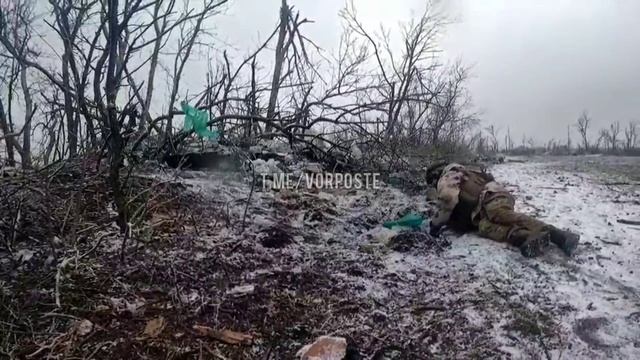 ВСУ попали под снайперский обстрел. смотреть онлайн