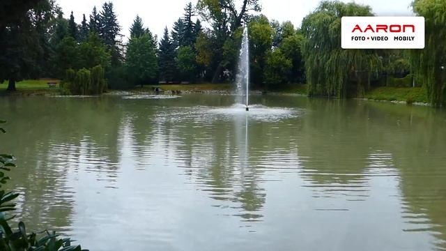 Panasonic Lumix DMC-TZ80 смотреть онлайн