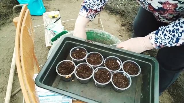 #17переезднаюг#жизньнакубани СДАЛИ МЕТАЛЛОЛОМ/УБИРАЕМ ТЕРРИТОРИЮ
