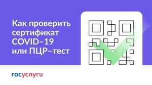 Как проверить сертификат COVID-19  или ПЦР-тест