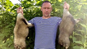 Из опыта: добыча Жирного сурка