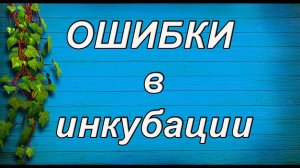 ОСНОВНЫЕ ОШИБКИ при инкубации яиц. 100% ВЫВОД!