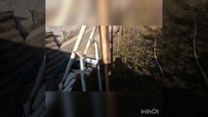 Ловля щеглов.Место для ловли щеглов. Шесты для ловли щеглов.