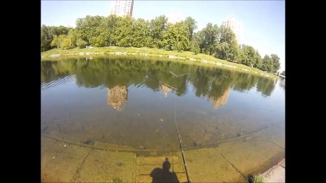 Редкие экзотические приманки на щуку
