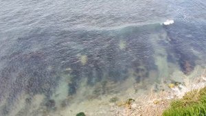 ГЕЛЕНДЖИК в апреле!!!