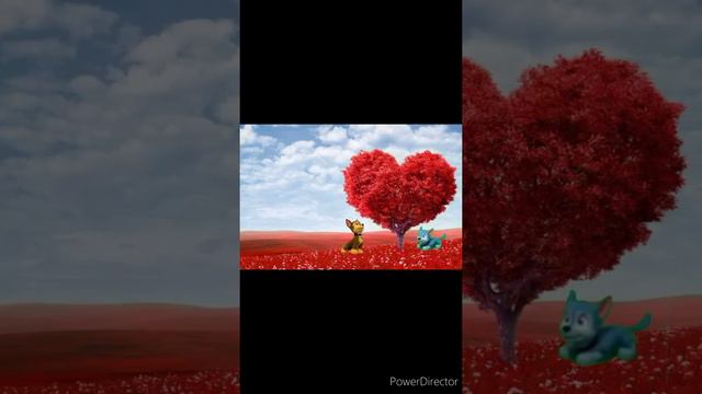 Гонщик и Сильвия смотреть онлайн