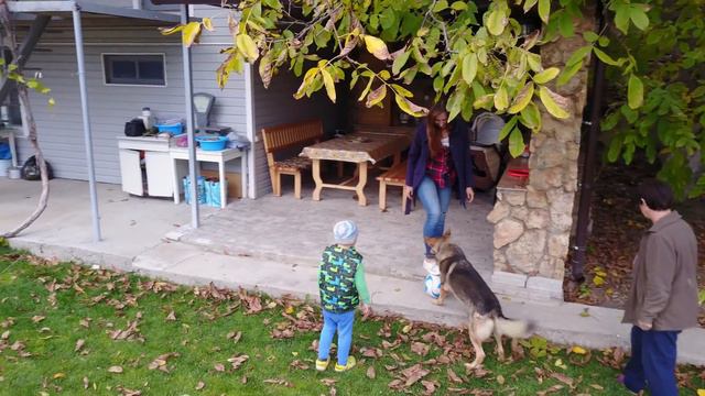 Маster VJi..аэро/фото/видео-съемка семейного досуга/ смотреть онлайн