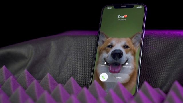 Standard iPhone ringtone "Messenger" | Стандартная мелодия звонка iPhone "Вестник" смотреть онлайн