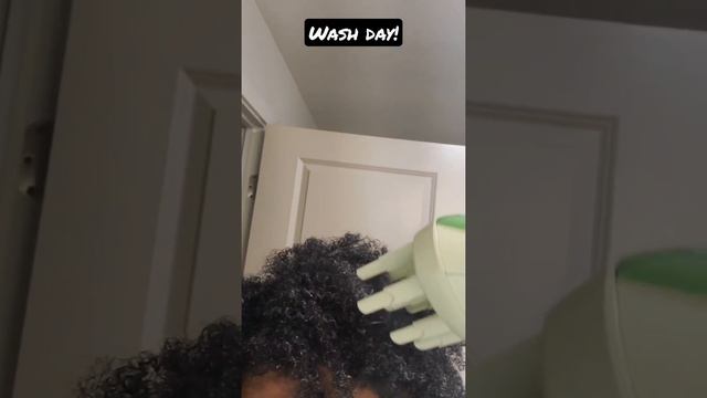 Natural Hair Wash Day Routine!