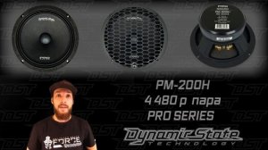 Какие динамики лучше поставить? Выбираем мощные динамики 8" 20см Dynamic State PM-200.