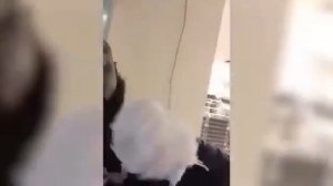 Забавные домашние и дикие животные