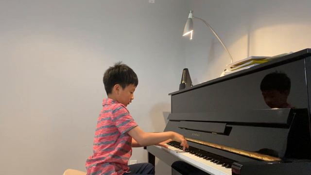 Kevin Liu (8 yrs)plays Gypsy dance смотреть онлайн