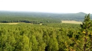 Дыроватик