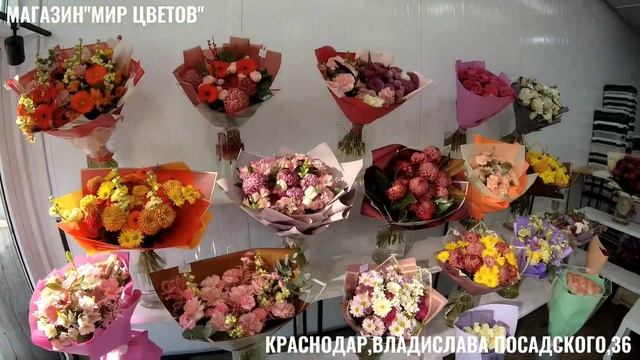 Магазин "МИР ЦВЕТОВ", Краснодар