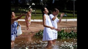 Северная, Южная Америка