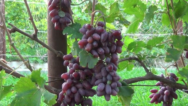 БАЙКОНУР 1 смотреть онлайн