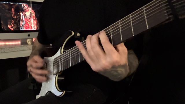 LIGATURE MARKS: MESHUGGAH 8 String Guitar Play-through смотреть онлайн