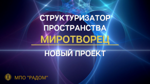 Структуризатор пространства МИРОТВОРЕЦ