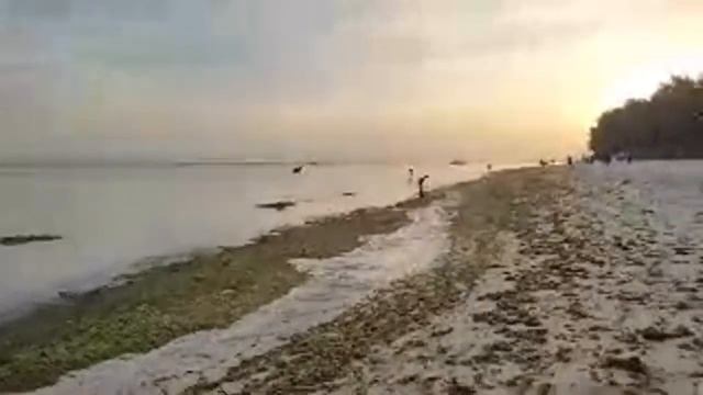 Алекс Cebu стрим 26 марта 2023 пляж Филиппины смотреть онлайн