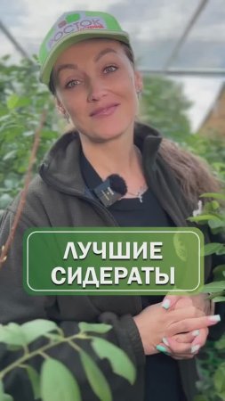 Идеальное удобрение для вашего сада 🌱
#саженцы #питомникрастений #сидераты #сад #огород