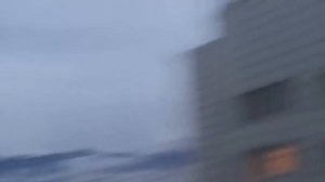 ГУЛ НЕБЕС ПОПАВШИЙ В ОБЪЕКТИВ КАМЕРЫ