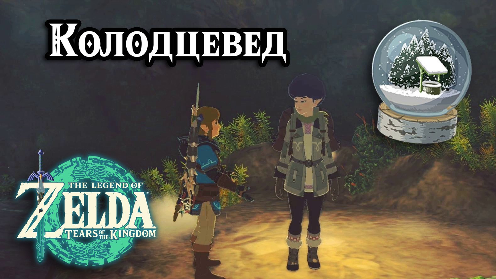 Колодцевед. The Legend of Zelda Tears of the Kingdom. Where Are The Wells. Nintendo Switch