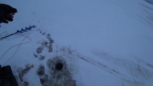 Зимняя рыбалка Окунь на балансир 2018-2019г горе море