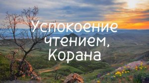 Сура джуз амма красивое чтение❤ 🎧