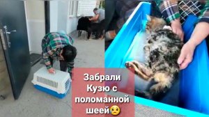 Кузю Забираем со стационара.