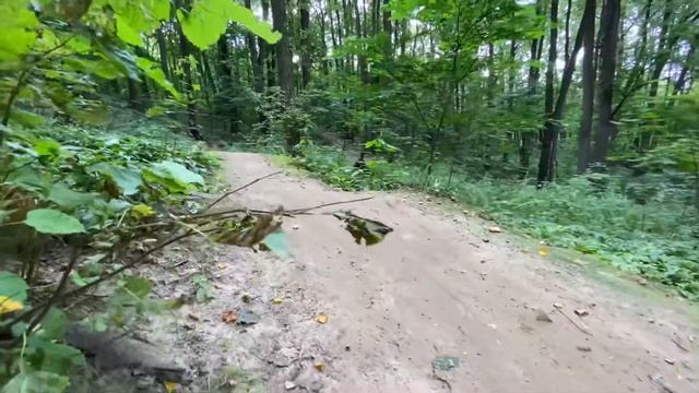 MONGOOSE и СПОТ ФИЛИ РЕАЛЬНО ЛИ?! смотреть онлайн