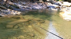 Рыбалка в Сочи. Малая горная река. Отзыв про fmagazin. Короткий спиннинг  Metsui Master Jet 522UL.