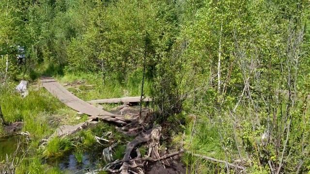 Гейзерное озеро в Горном Алтае недалеко от населённого пункта Акташ смотреть онлайн