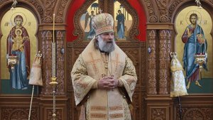 Проповедь епископа Питирима (Творогова) в день памяти святителя Феофана, затворника Вышенского.