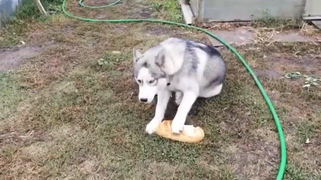 Самый лучший год! смотреть онлайн