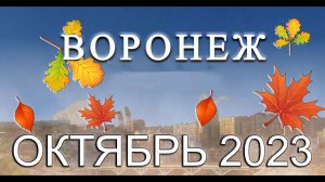 Новости Воронежа Октябрь 2023