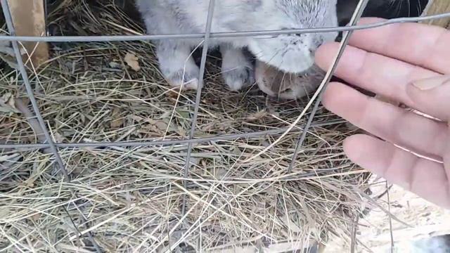 Наша поездка на дачу. смотреть онлайн