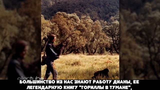 | ПОРША дарит ЭЛЛЕН самый лучший подарок на День Рождения | смотреть онлайн