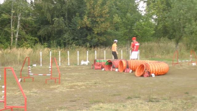 Текна джНАТИ 11 08 смотреть онлайн