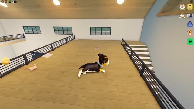 РОБЛОКС, НО МЫ СТАЛИ ПЁСИКАМИ! смотреть онлайн