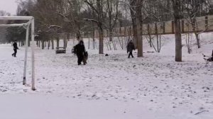 3.  выражено/перв БАЛАРИС ИМИДЖ (Баларис Блэк Файер – Баларис Керчь) проверка  поведения