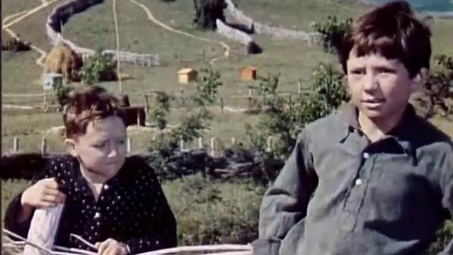 сказать где кибальчиш спрятался смотреть онлайн