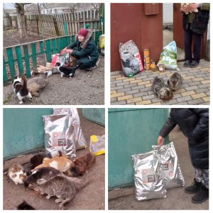 Отчет по помощи животным в Волновахе и Мариуполе. Январь 2023