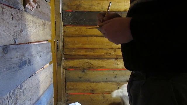 Сколько весит поросенок, индюк и козленок???// Взвешиваем животных//деревенские будни смотреть онлайн