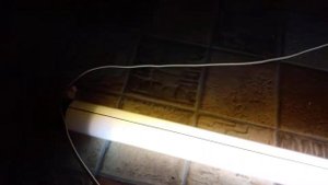 Первый запуск старой лампы дневного света ЛБ-125 от МЭЛЗ.