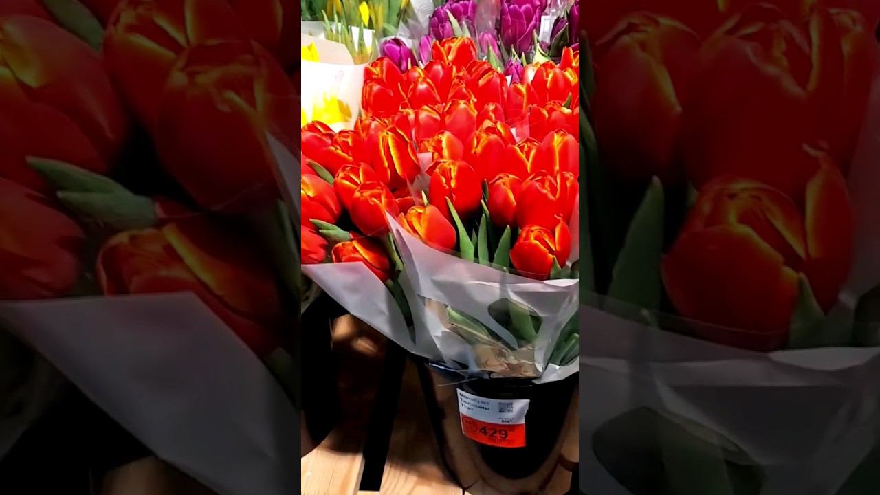 Букет из 11 тюльпанов в Ленте #shorts