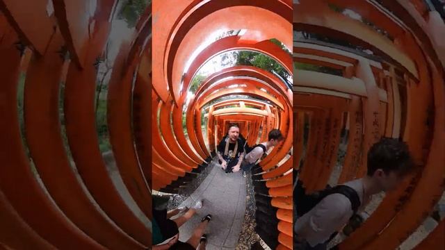 Fushimi Inari Taisha, Kyoto - GoPro 360 quick trip through some of the 10,000+ gates! #japan