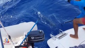 Рыбалка на Сейшелах. Ноябрь 2019.