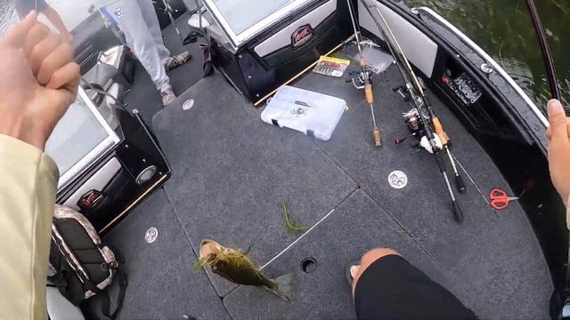 CRAZIEST Lake I’ve Ever Fished | Northern Wisconsin Fishing смотреть онлайн