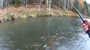 Осенний хариус на Чусовой